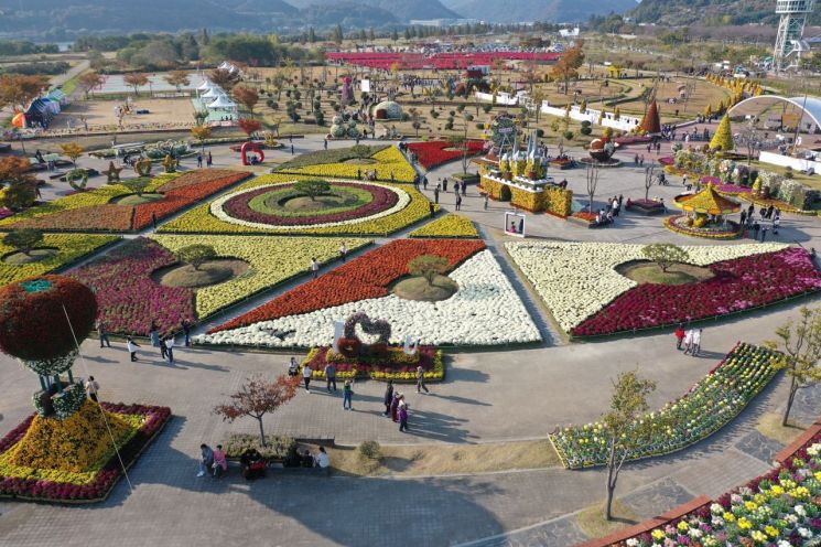 "Autumn Leaves Are Nice, But Chrysanthemums Are Irresistible"... Yangsan Chrysanthemum Festival Concludes with a Seasonal Greeting