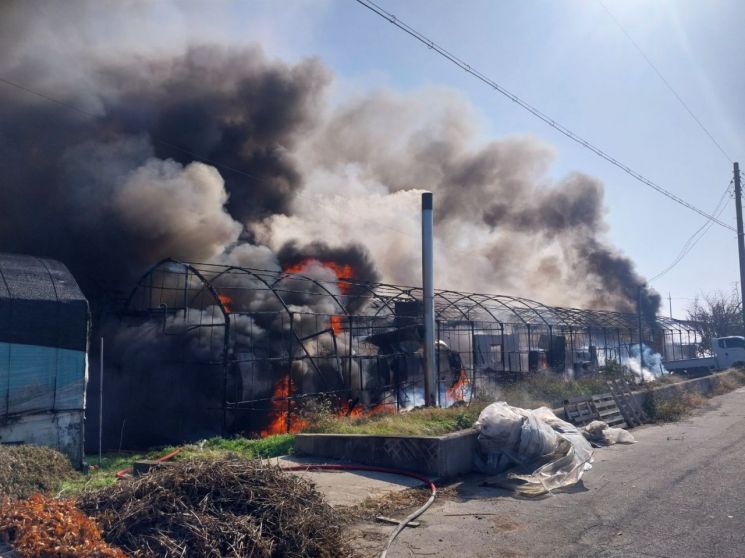 경남 김해시 대동면의 한 비닐하우스에서 불길이 피어오르고 있다. 경남소방본부 제공