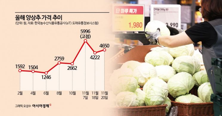 연초대비 3배 급등한 양상추…양배추로 채운 햄버거?