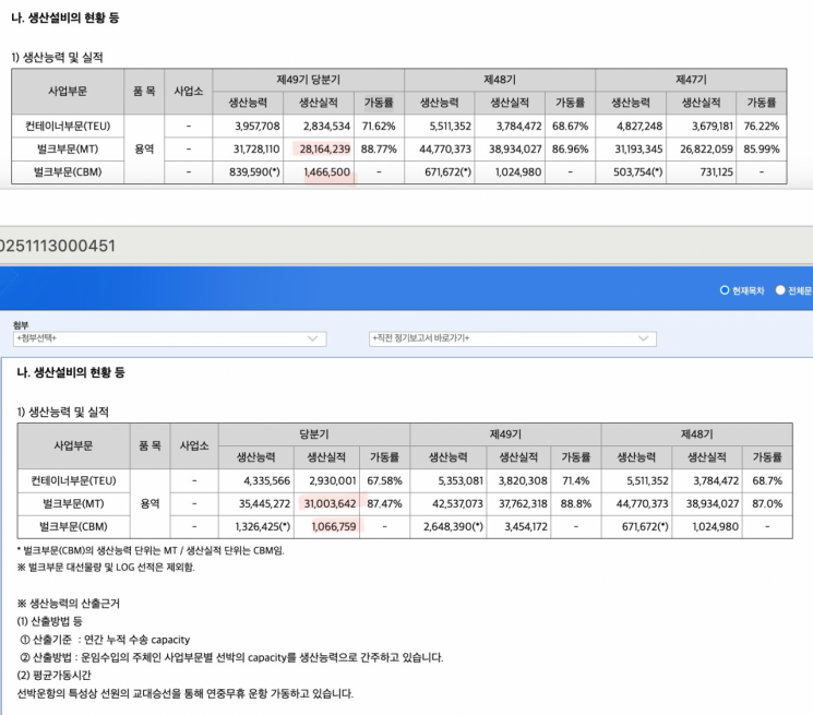 '재앙' 예고된 컨테이너선…'벌크업'에 눈돌리는 HMM