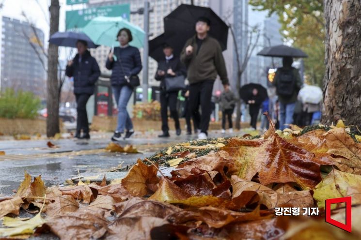 [포토] 가을비에 수북히 쌓인 낙엽