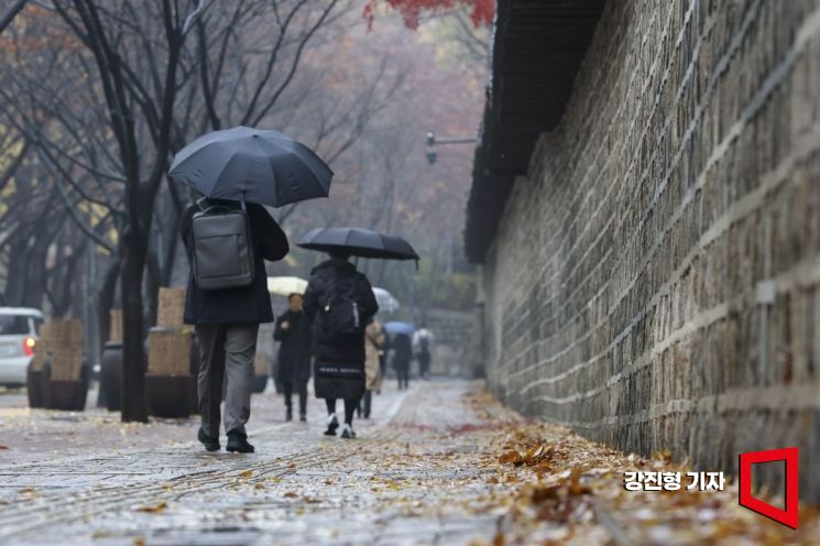 [포토] 가을비에 떨어진 낙엽