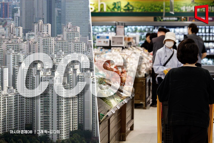 "관세 타결·기대 웃돈 GDP에 기저효과 폭발" 소비심리, 8년來 최고