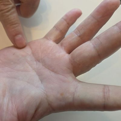 [속보]"신안 염전·광주 요양병원서 사람 대접은커녕 물건 취급만 당했다"