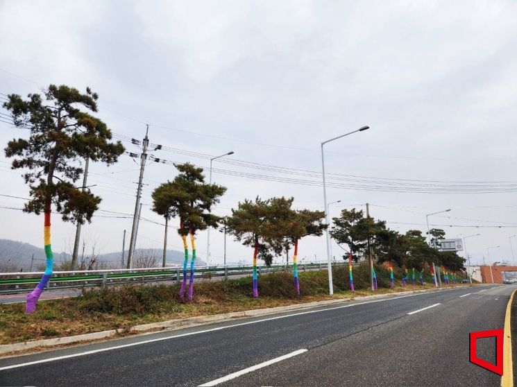“따뜻한 겨울길 만든다”…의성군, 가로수 수목 보호대 전면 설치 완료