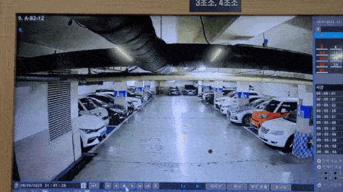 Attempted Kidnapping and Murder of Small Business Owner in Apartment Parking Lot... Two Indicted and Detained