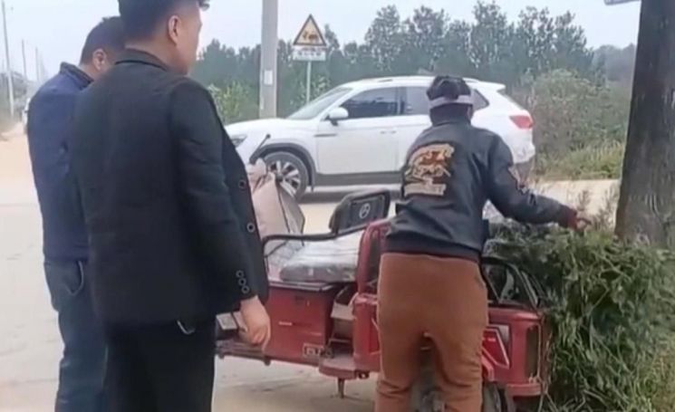 After Cabbages and Potatoes, Chili Pepper Field Looted... Crowds Flock Due to Fake SNS Video