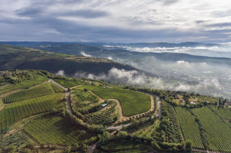 [아경와인셀라]땅이 남긴 오래된 문장 '한 잔'에 담았다…伊레드의 전설