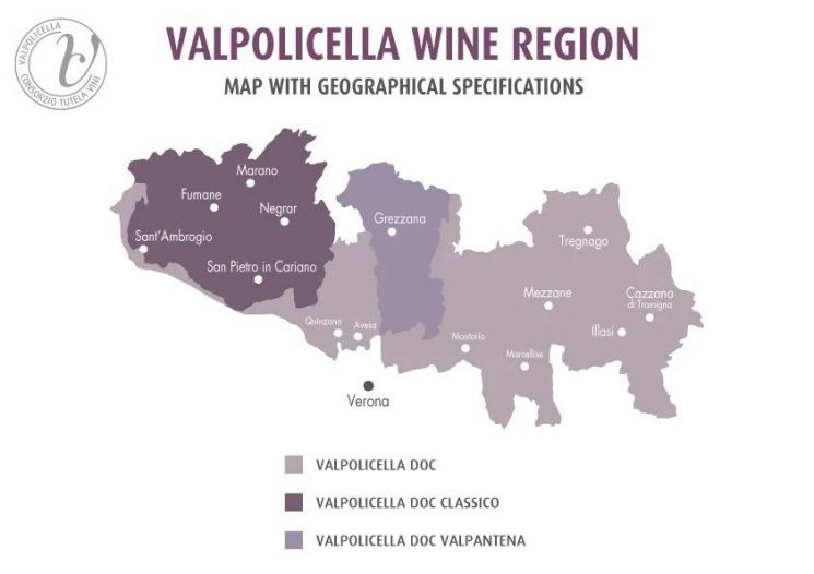 [아경와인셀라]땅이 남긴 오래된 문장 '한 잔'에 담았다…伊레드의 전설