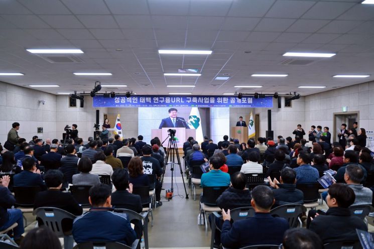 태백시, '태백 URL 성공 추진' 전문가·시민 공개 포럼 개최