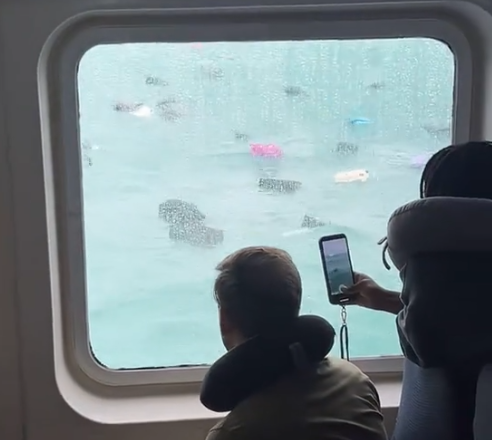 "That's My Suitcase Floating in the Sea": Tourists Shocked as Luggage Lost Overboard on Ferry to Thai Resort Island