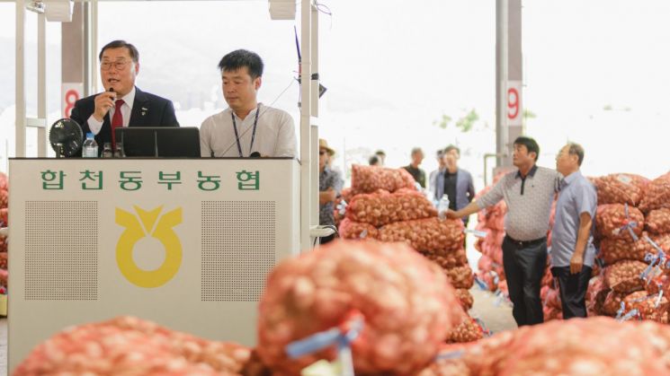 합천군, 산지공판장 경매 수수료 지원…농가 부담 완화