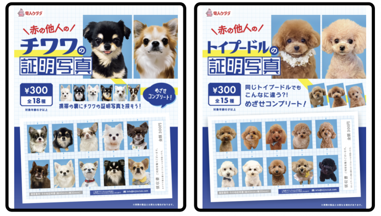 '모르는 사람 증명사진' 시리즈로 출시된 '모르는 치와와 증명사진'(오른쪽)과 '모르는 푸들 증명사진'. 키진클럽.