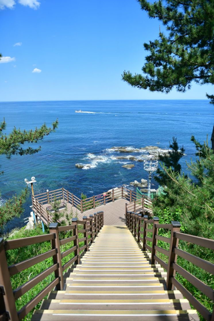 속초시, 바다향기로 데크 산책로 'E등급'…12월 1일부터 통행 전면 금지