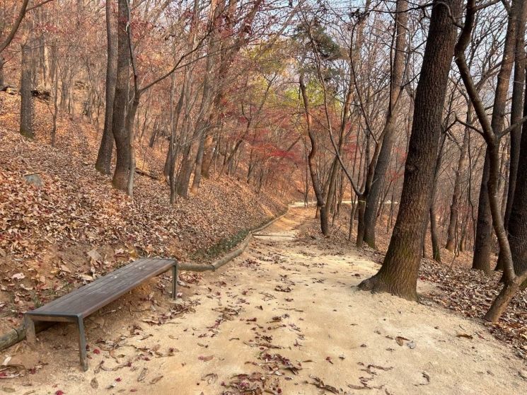 사진=대전시 제공