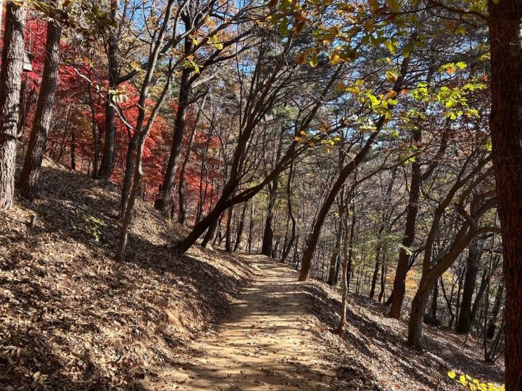 사진=대전시 제공