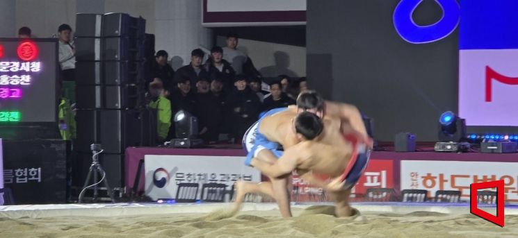 태백장사 결정전이 열리고 있다. 권병건 기자
