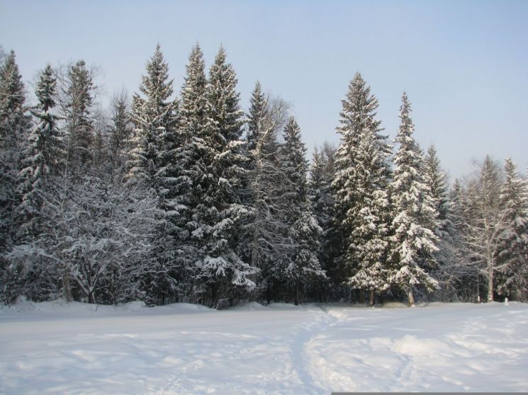 "일본여행 가지 말라고?" 수십만명 항공권 취소하더니…새 여행지로 떠오른 '이 나라'