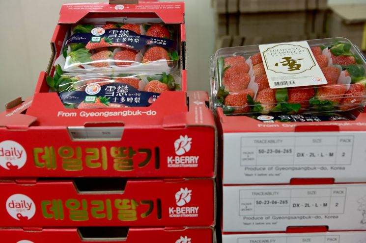 Goryeong County Holds First Goryeong Strawberry Export Shipment Ceremony to Hong Kong
