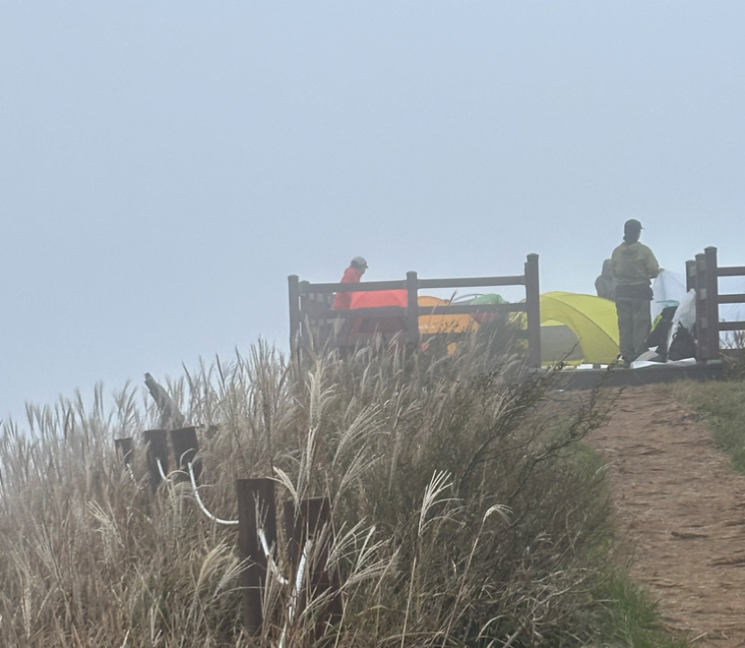 "야경 엄청나더라" 입소문 나자…화장실도 없는데 무단숙박·취사하는 캠핑족에 오름 '몸살'
