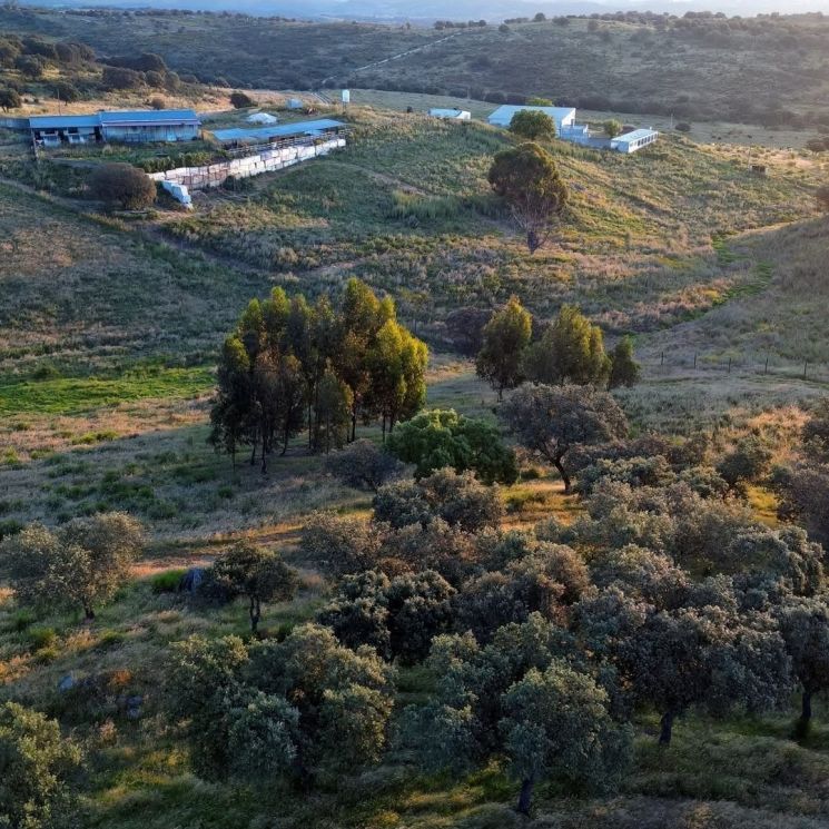 판게아 트러스트 보호소가 확보한 부지 중 일부의 모습. 판게아 트러스트 인스타그램