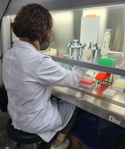 전라남도동물위생시험소는 아프리카돼지열병(ASF)확산을 차단하기 위해 방역대책상황실을 가동한다. 전남도 제공