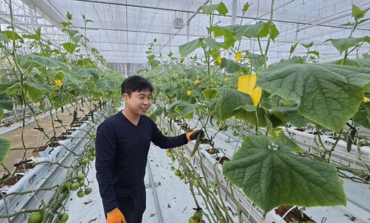 Jangsu County Achieves First Shipment of Cucumbers Grown in Leased Smart Farm