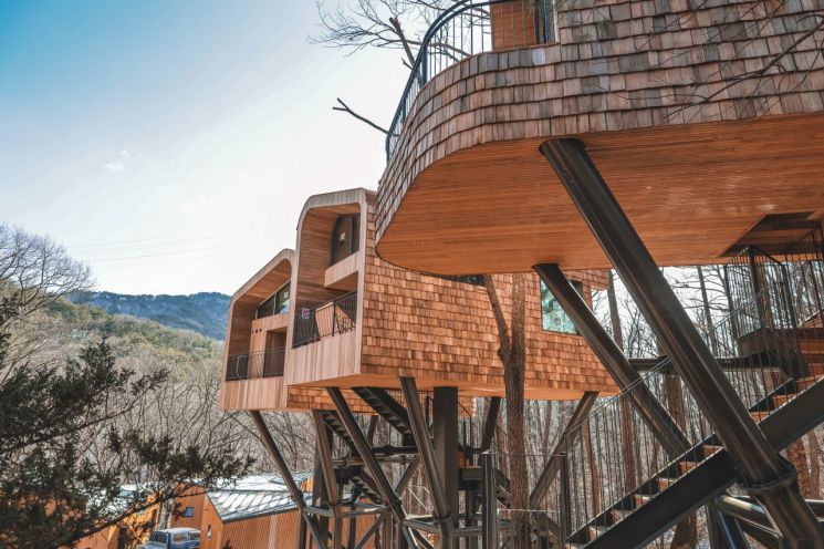 노원 수락휴, 전국 휴양림 유일 가동률 100%