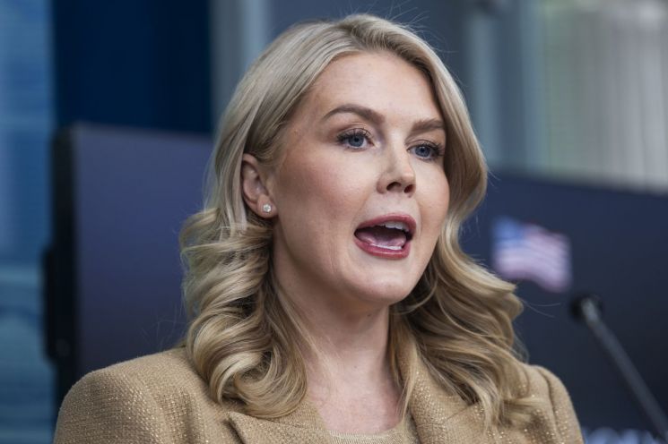 캐롤라인 레빗 백악관 대변인. EPA연합뉴스