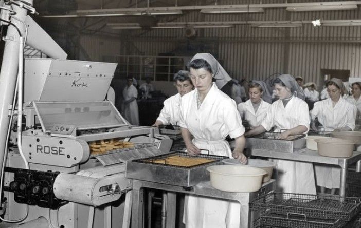 "아무도 원치 않던 애물덩어리" MIT가 살려냈다…'바다의 핫도그' 美서 연5800만개 소비[맛있는 이야기]