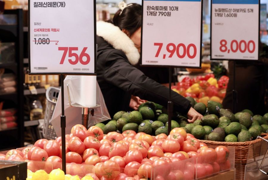 서울 시내 한 대형마트 수입 과일 판매대에서 방문객이 상품을 고르고 있다. 연합뉴스