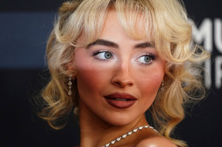 백악관 이민 단속 영상에 자기 노래 깔리자..."사악하고 역겨워" 가수 격... - 뉴스 썸네일 이미지