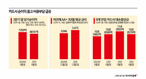 [위기의 카드]①비용·규제 겹악재…수익성·건전성 동반 흔들린다