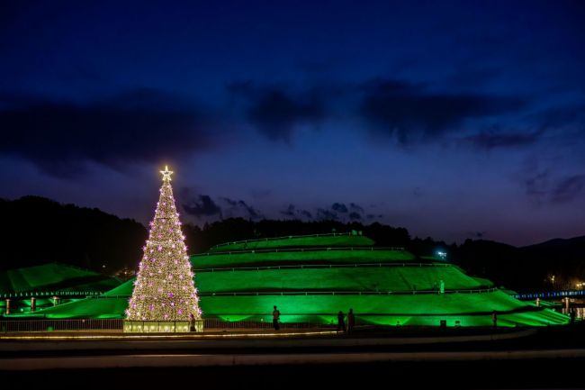 별이 내린 순천만국가정원 '산타가든'…행복 메시지 전달