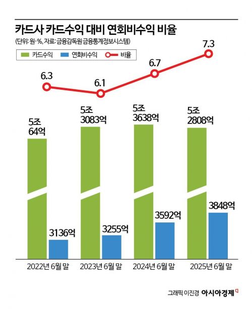 [위기의 카드]②프리미엄·PLCC·스테이블코인…살 길 찾는 다층 전략