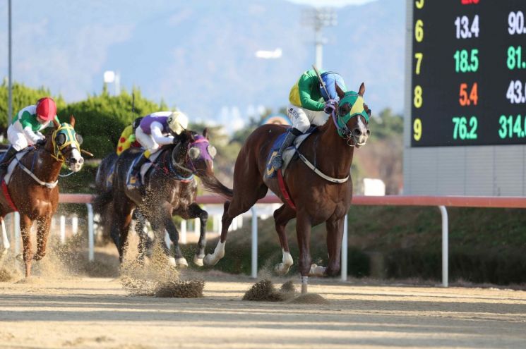 ‘위너클리어’, KRA 스프린트@영남 초대 챔피언 등극