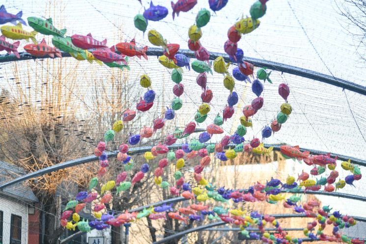 화천군이 화천읍 중앙로 선등거리 일대에 오는 20일 오후 6시에 열리는 2026산천어축제의 서막을 여는 선등거리 점등식을 위해 산천어등을 설치하고 있다. 화천군 제공