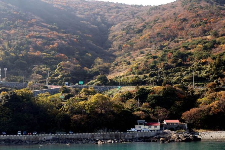 초겨울이지만 따뜻한 날씨로 늦가을 정취가 물씬 풍기는 금오도