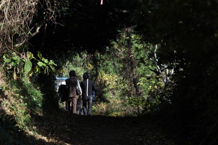 숲터널이 지나면 바다가 짠하고 나타난다