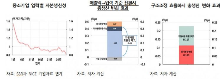 "중소기업 자금지원, 선별기준만 바꿔도 韓 총생산 최대 0.7% 늘어"