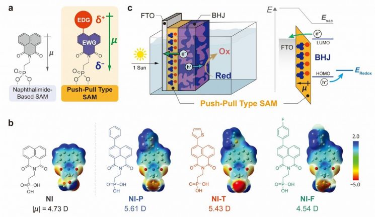 박막을 구성하는 단분자와 광전극의 구조.