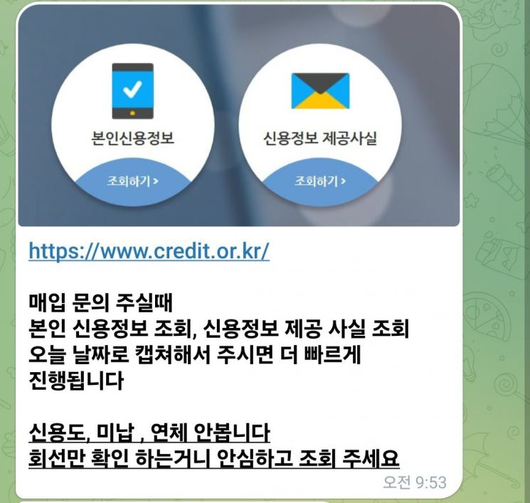 "휴대폰 개통해 넘기면 100만원"…기상천외 대출