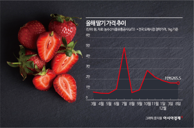 12월에만 딸기 가격 20%↓…올해는 '금딸기' 없다