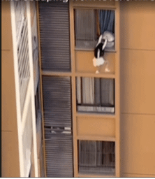 유부남과 불륜을 저지르고 있던 한 여성이 아내에게 들킬 위기에 처하자 아파트 창문 밖으로 매달렸다. SNS