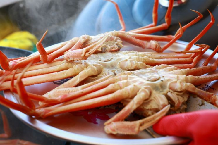 멀었던 장벽이 무너지다… 울진, ‘가장 가까운 계절’ 되다