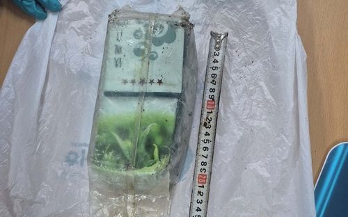 "청정 제주에 웬 마약이"…우롱차 봉지 담긴 '케타민' 또 발견