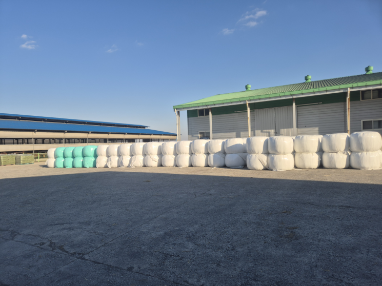 고품질 韓 조사료 키워 사료비·수입의존도↓ [농업 바꾼 FTA]②