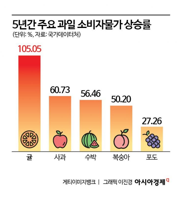 귤값 '들썩'…5년 만에 두 배 오른 겨울 대표 간식[주머니톡]