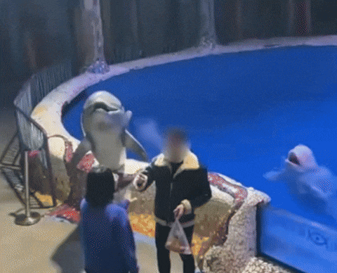 "담배 꺼주세요" 직원 말 무시하자…물속에서 튀어나와 응징