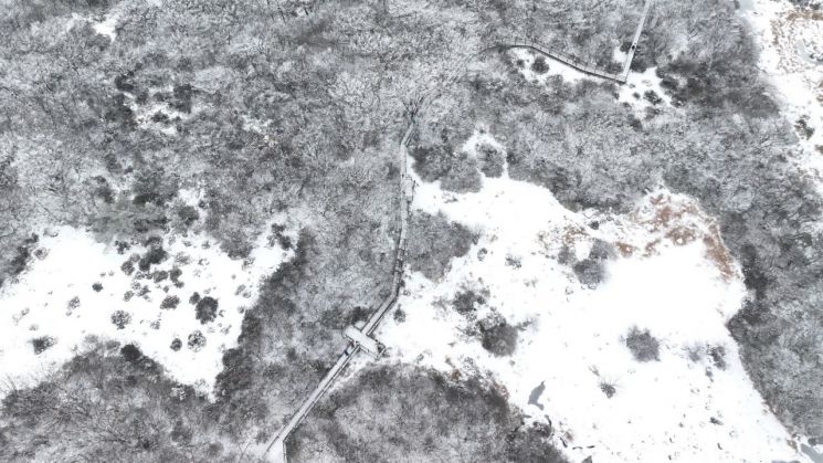 제주 한라산 1100고지를 찾은 이들이 겨울 정취를 만끽하고 있다. 연합뉴스